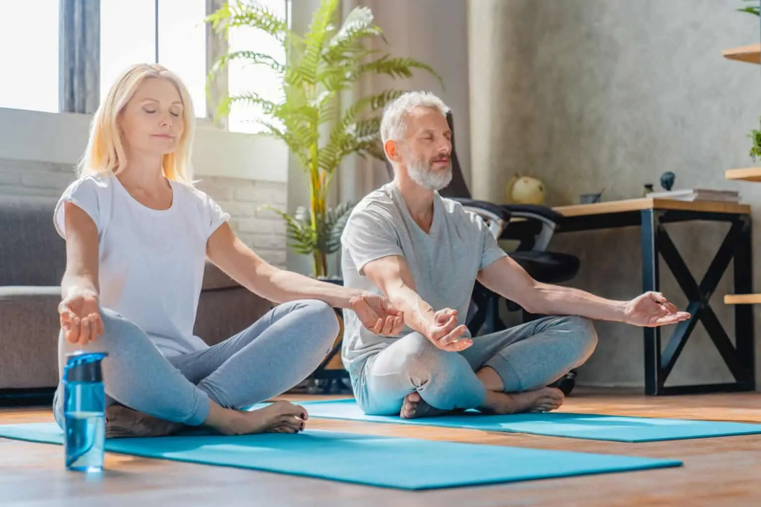 senior stretching exercises gentle movements